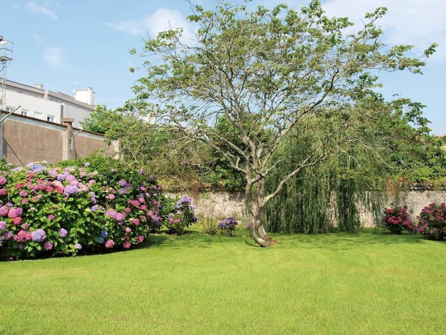 Precioso Apartamento Wifi, Aparcamiento, Piscina En Llanes Zewnętrze zdjęcie